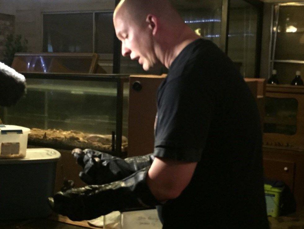 Steven Kennedy, of Steve's Snaketuary, holds two water moccassins in his hand