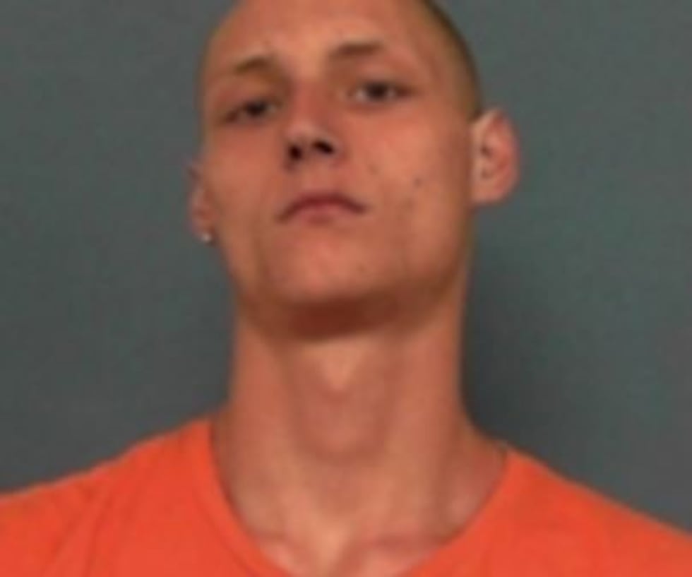 BOOKED: Charles Elliott, 18, one count of first-degree endangering the welfare of a minor....