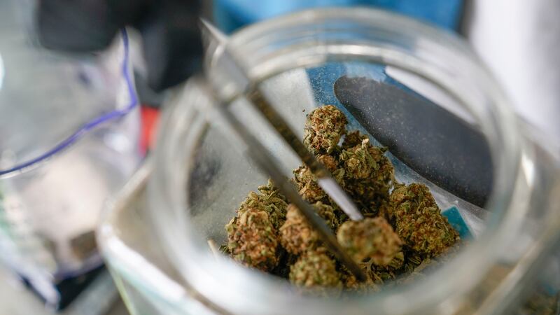 FILE - An employee at the Good Leaf Dispensary measures out marijuana for a customer on the...