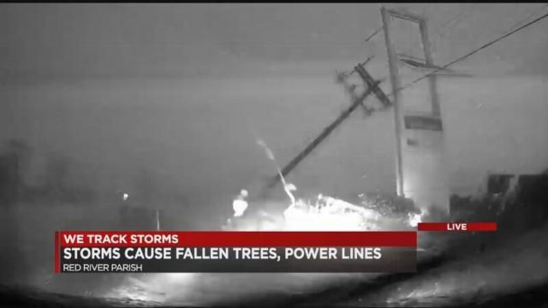 (Source: KSLA News 12)