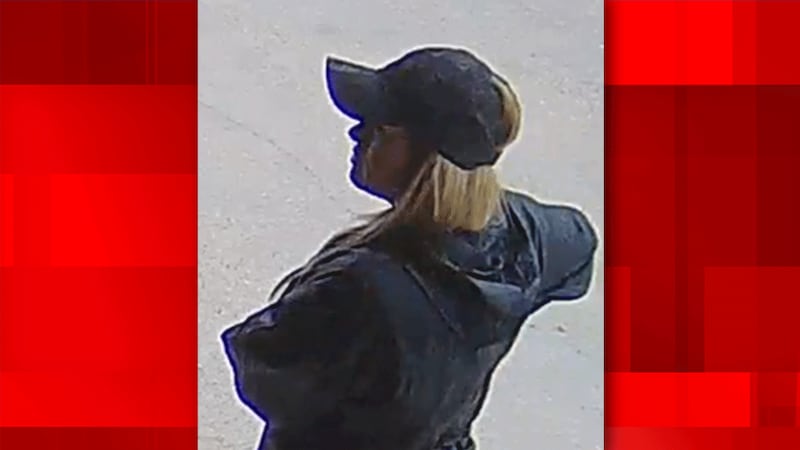 Police are looking for the above pictured woman in connection with a theft at a jewelry store...
