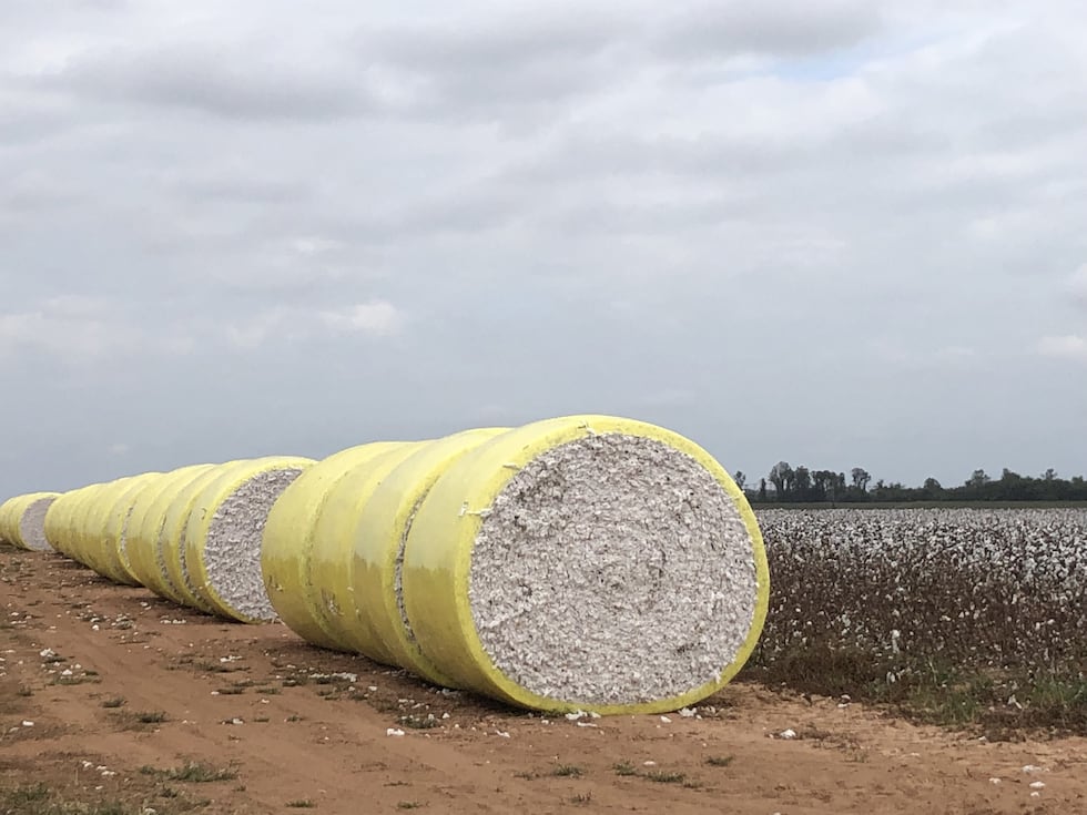Round hay bales