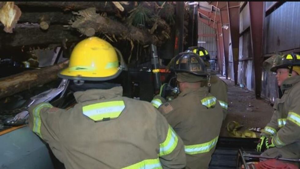 (Source: KSLA News 12)