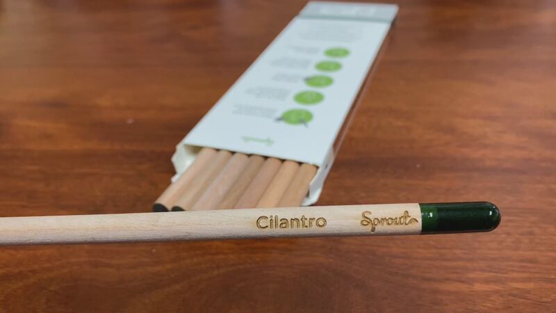 Sprout pencils