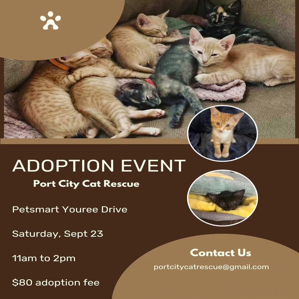 Port City Cat Rescue adoption event
