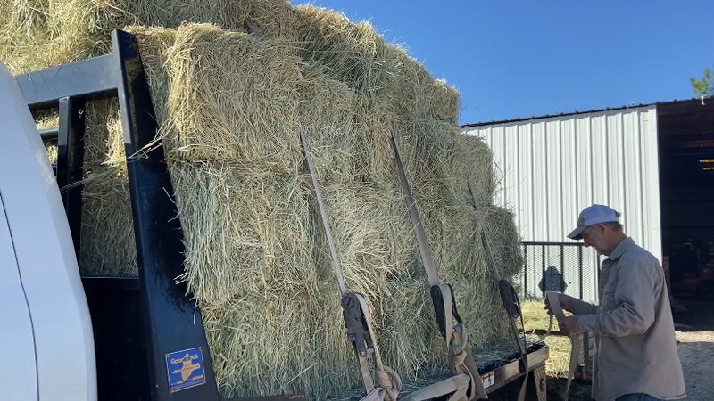 Prices have increased for fertilizer and diesel as well.