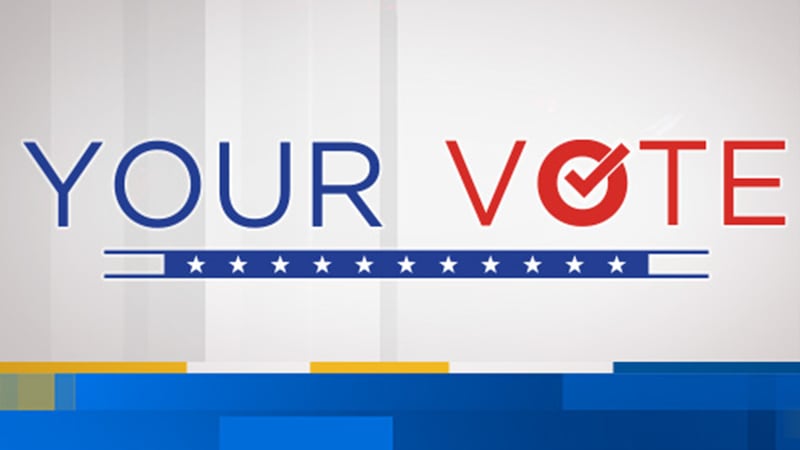 Your Vote