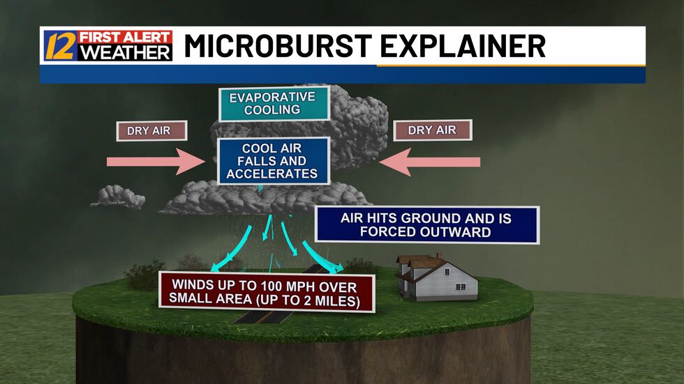 Anatomy of a downburst