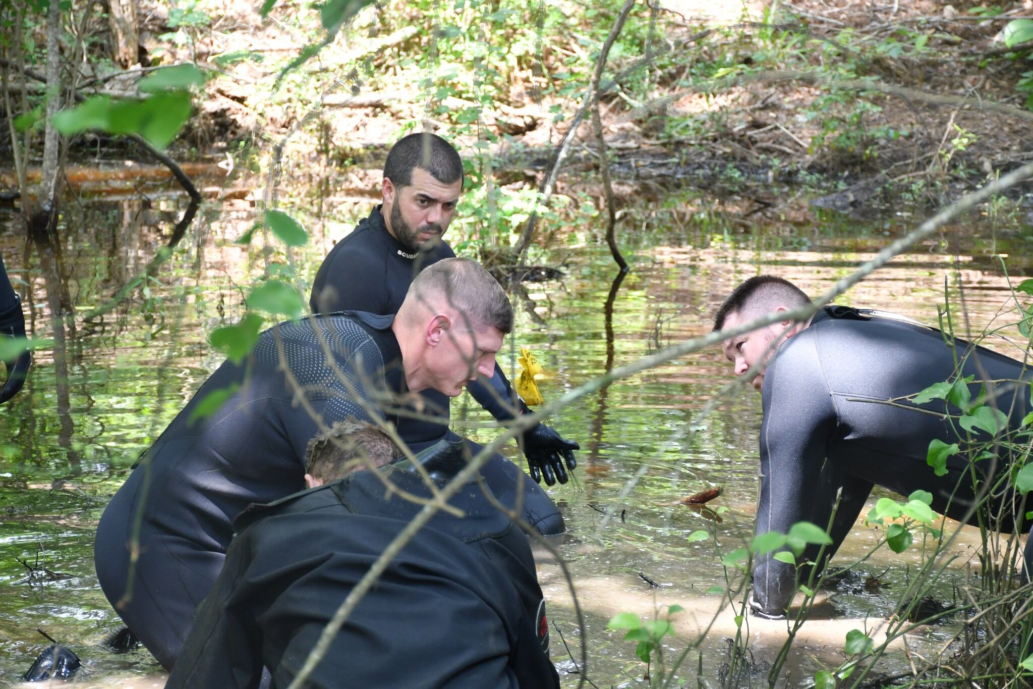 Skeletal human remains found in pond near Marthaville - Vimarsana News