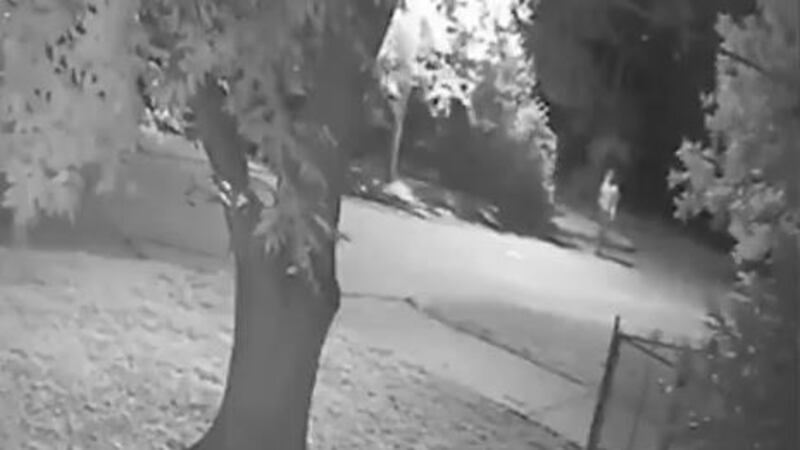 (Source: Shreveport Police Department)